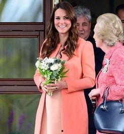 香港爆料凯特王妃视频大全,凯特王妃视频大全揭秘