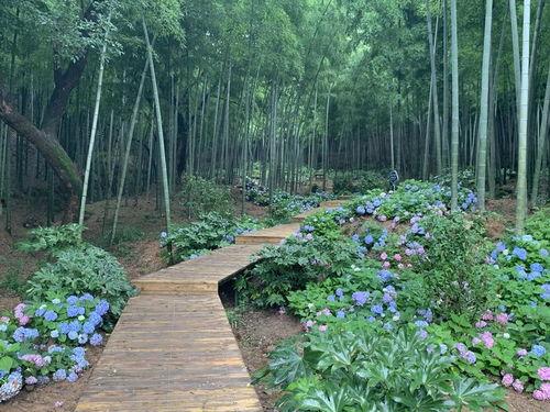 竹林小区新闻爆料最新,业主抗议物业,真相背后引关注 第2张 竹林小区新闻爆料最新,业主抗议物业,真相背后引关注 第2张